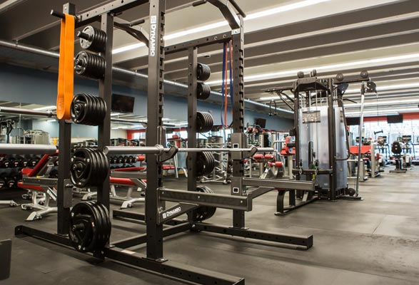 Squat Rack